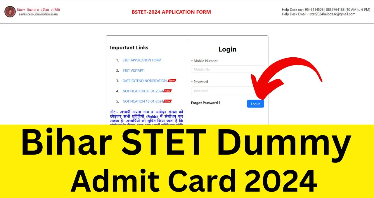 Bihar STET Dummy Admit Card 2024